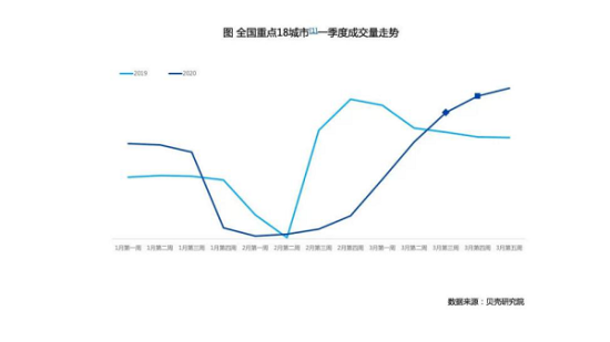 公羊报价及市场趋势分析，品种差异与选购指南